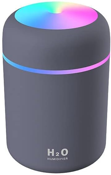 Gray humidifier with colorful top and 'H2O' branding on a white background
