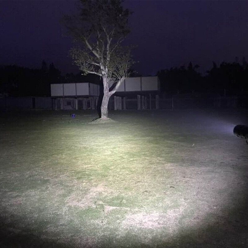 Outdoor scene at night with a light source illuminating grass and trees.