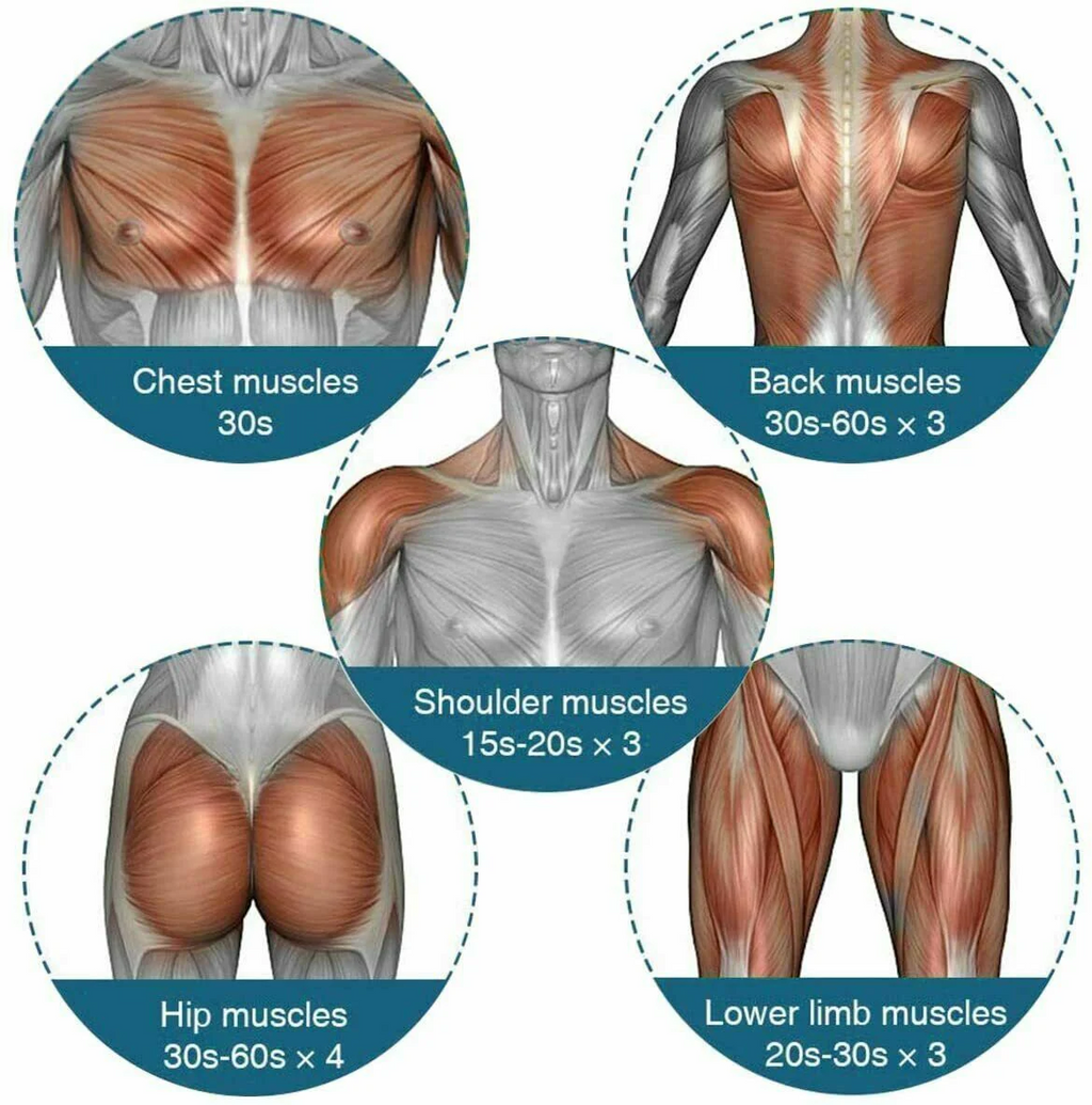 Muscle group diagrams with exercise time recommendations on a white background